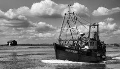 免费ddos压力测试平台