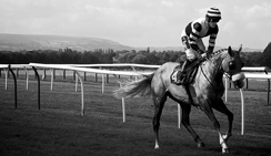 智能预警提醒的ddos在线网页端